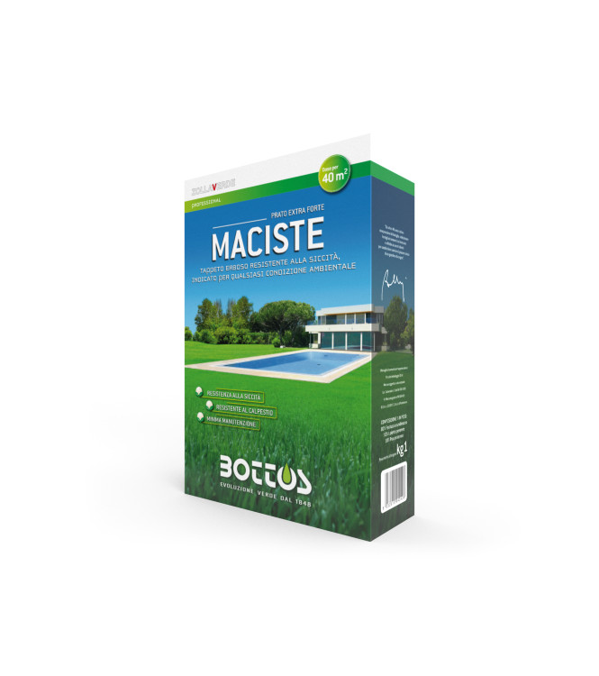 BOTTOS MACISTE LAWN SEEDS - 1 KG