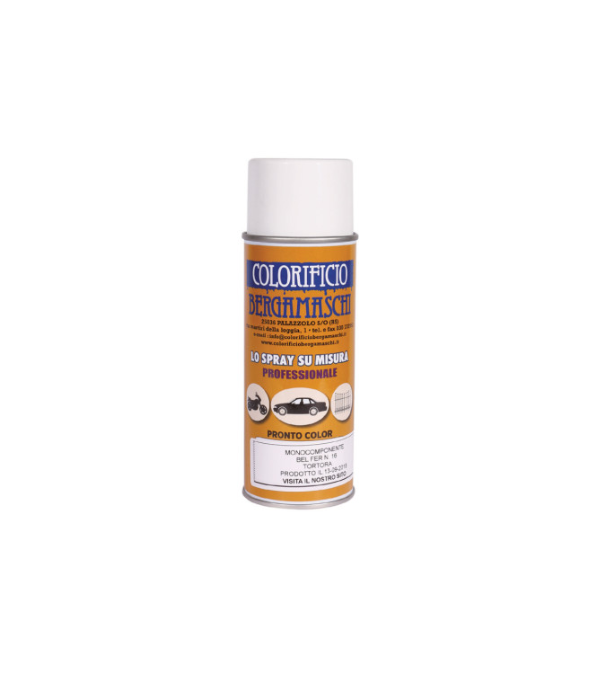 VERNICE SPRAY PER RITOCCO