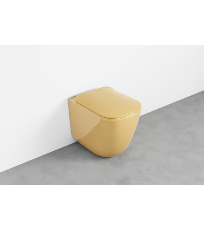 ERA FLOOR-MOUNTED TOILET WITHOUT FLANGE 52x36.5  ANEMONE - ERVAKAM