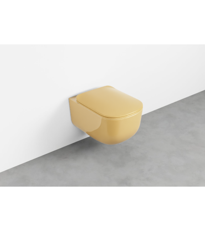 ERA WALL-HUNG TOILET WITHOUT FLUSH VALVE 36.5x53 ANEMONE - ERVSKAM