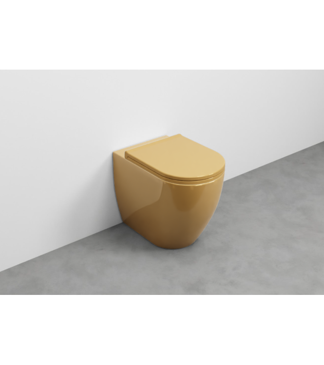 SMILE WC A TERRA SENZA BRIDA 53x35 H.42 ANEMONE - SMVASKAM CERAMICA CIELO