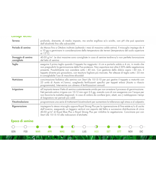 SEEDS FOR LAWNS CONCIANTI BOTTOS ROYAL BLUE PLUS - 10 KG - 34001205
