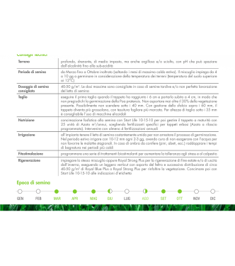 SEEDS FOR LAWNS CONCIANTI BOTTOS ROYAL BLUE PLUS - 1 KG - 34001202