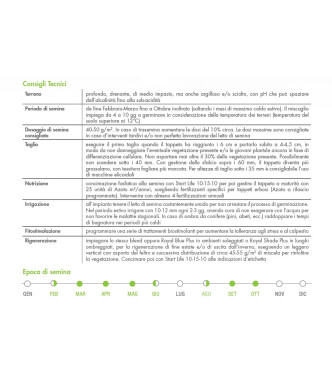 FERTILIZZANTE GRANULARE BOTTOS ROYAL STRONG PLUS - 10 KG - 034004205