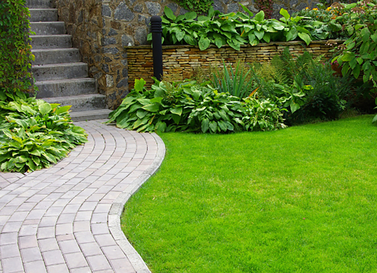 Come e quando seminare il prato: guida pratica per un tappeto erboso perfetto