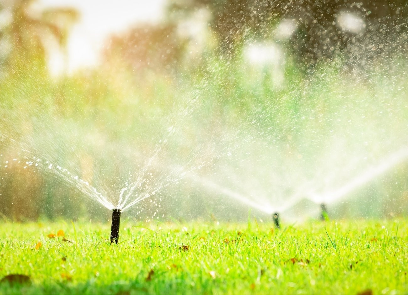 Come scegliere un impianto di irrigazione per il giardino? Guida aggiornata 2025