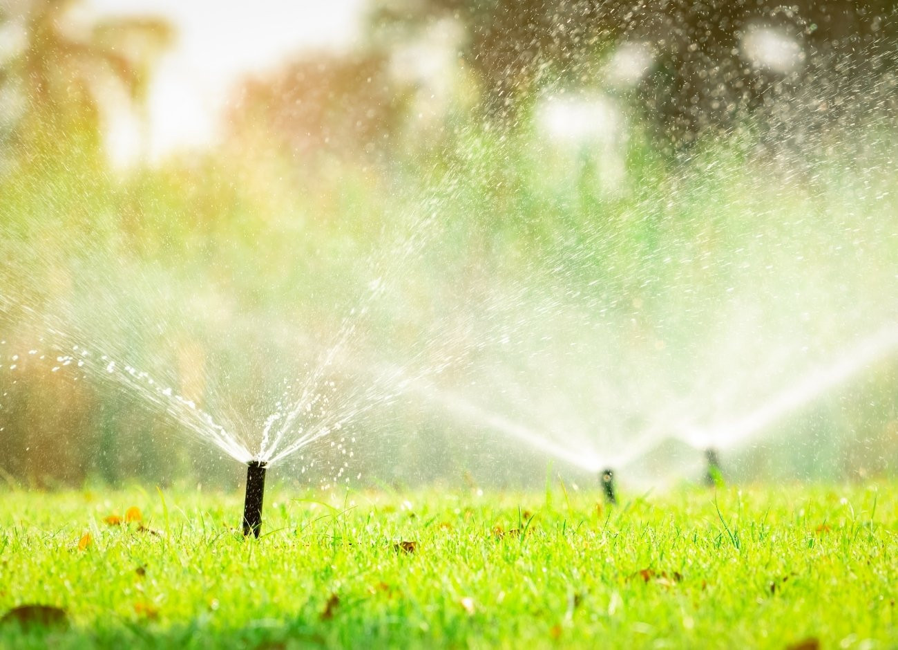 Come scegliere un impianto di irrigazione per il giardino? Guida aggiornata 2025 Come scegliere un impianto di irrigazione per il giardino? Guida aggiornata 2025